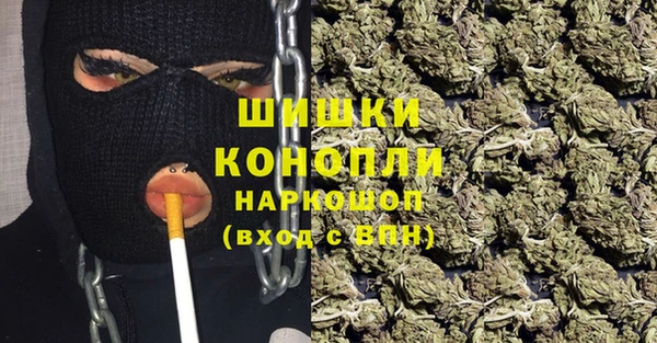 ПСИЛОЦИБИНОВЫЕ ГРИБЫ Алзамай