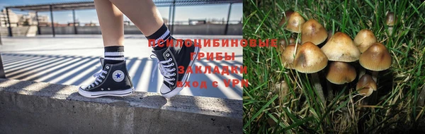 ПСИЛОЦИБИНОВЫЕ ГРИБЫ Алзамай