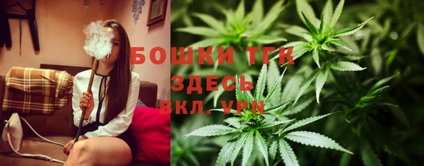 тгк Осташков